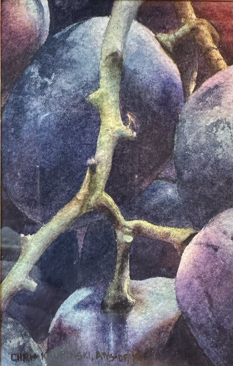 Black Grapes, a transparent watercolor painting by Chris Krupinski